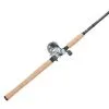 Abu Garcia Ambassadeur S Round Reel Combos -Saltwater Rod & Reel Combos Shop abu garcia ambassadeur s round reel combos 29452.1650812165.386.513