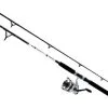 Daiwa D-Wave DWB Saltwater Spinning Combos -Saltwater Rod & Reel Combos Shop daiwa d wave dwb saltwater spinning combos 26363.1651075331.386.513