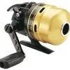 Daiwa Goldcast Reels -Saltwater Rod & Reel Combos Shop daiwagoldcast 49716.1651075628.386.513