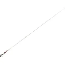 Duckett Fishing Micro Magic Pro Casting Rods -Saltwater Rod & Reel Combos Shop duckett fishing micro magic pro casting rods 08132.1651236441