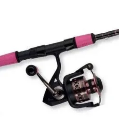 Penn PAS5000802MH Passion Spinning Combo
