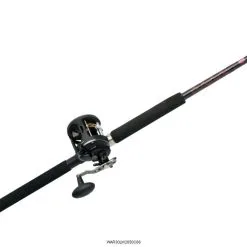 Penn Warfare Level Wind Combos -Saltwater Rod & Reel Combos Shop penn warfare level wind combos 13259.1650815140