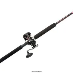 Penn Warfare Level Wind Combos -Saltwater Rod & Reel Combos Shop penn warfare level wind combos 22020.1650815140