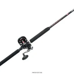 Penn Warfare Star Drag Combos -Saltwater Rod & Reel Combos Shop penn warfare star drag combos 25605.1650815142