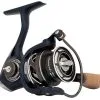 Pflueger Patriarch Spinning Reels -Saltwater Rod & Reel Combos Shop pflueger patriarch spinning reels 24259.1665243939