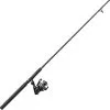 Quantum Accurist 30 Spinnning Combo - 7 Ft. - Black -Saltwater Rod & Reel Combos Shop quantum atbk307052fa ns2 accurist spinnning combo 14618.1651368109