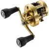Shimano Calcutta Conquest MD Baitcasting Reels 2 Shimano Calcutta Conquest MD Baitcasting Reels -Saltwater Rod & Reel Combos Shop shimano calcutta conquest md baitcasting reels 10126.1674255439