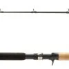 Shimano Sojourn C Muskie Casting Rods 2 Shimano Sojourn C Muskie Casting Rods -Saltwater Rod & Reel Combos Shop shimano sojourn c muskie casting rods 64242.1678982225