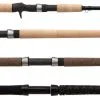 Shimano Technium Rods -Saltwater Rod & Reel Combos Shop shimano technium rods 04057.1651247300