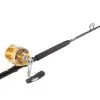 Penn International 50VISW / TackleDirect Platinum Hook Standup Combo -Saltwater Rod & Reel Combos Shop tackledirect platinum hook tdps645080wtsin penn 50vsw gold combo 61476.1651325905