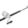 Penn International 50VISWS / TackleDirect Platinum Hook Standup Combo -Saltwater Rod & Reel Combos Shop tackledirect platinum hook tdps645080wtsin penn 50vsws silver combo 13930.1651325906