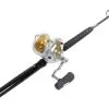 Shimano Talica TAC50II / TackleDirect Platinum Hook Standup Combo -Saltwater Rod & Reel Combos Shop tackledirect platinum hook tdps645080wtsin shimano tac50ii combo 74795.1651325957