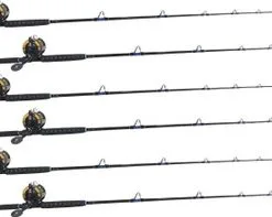 TackleDirect Silver Hook / Shimano TLD TLD30IIA White Marlin Package W/ 6 Combos