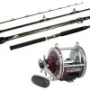 Tsunami Trophy TSTBC-661HW / Penn 113H2SP Special Senator Cast Combo -Saltwater Rod & Reel Combos Shop tsunami trophy tstbc 661hw penn 113h2sp senator reel wire line casting combo 82922.1651332527.386.513